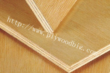 Chiang Leng Hup, Timber, Plywood, Veneer, Building Materials-Film Faced Plywood