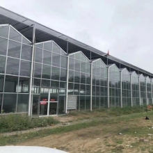 Venlo type Multi-span Long-life PC Greenhouse