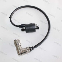 Bashan Shineray 200cc 250cc atv go kart ignition coil