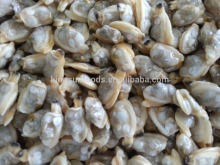 Frozen Boiled Clam Meats