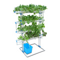 Sistema de cultivo vertical de hidroponia comercial da Skyplant