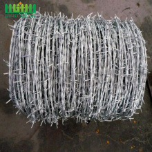 Factory Price Stainless Steel Barbed Wire for Sale