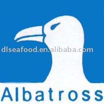 container international sea transportation