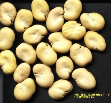 PEELED BROAD BEANS 2009 CROP(656)