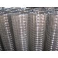 Stainless Steel Welded Mesh