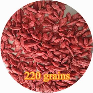 Size 220 Natural Dried Red Goji Berry Grade A Goji berry