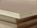 1220 * 2440mm storlek kommersiella plywood