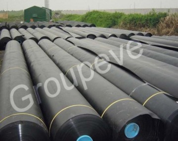 LDPE Geomembrane