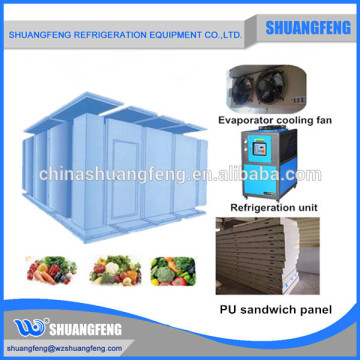 Walk in Medicine refrigerator cold room