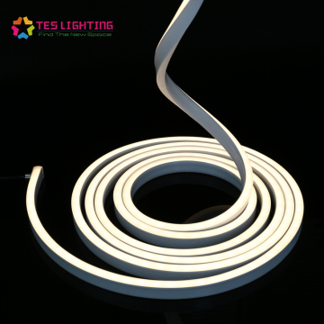 Flex Neon Lighting IP68 Waterproof Outdoor Decor light