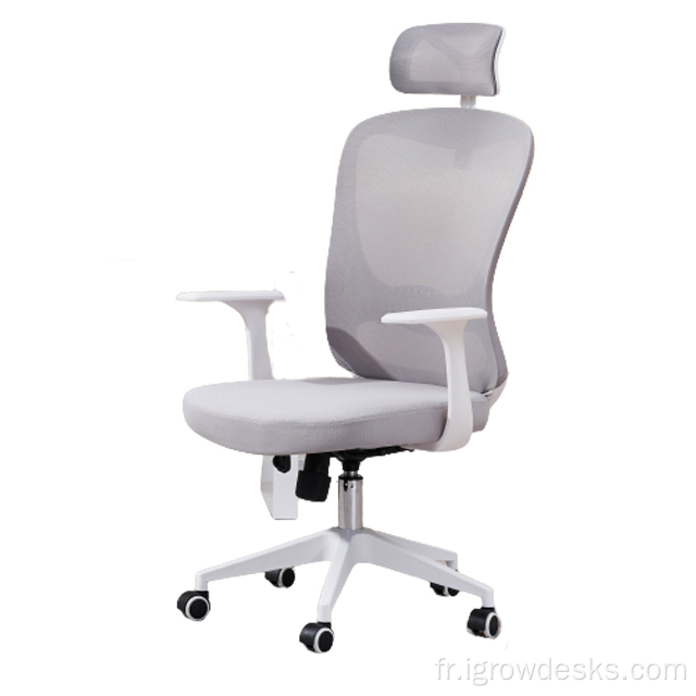 chaise de bureau de chaises de bureau gris