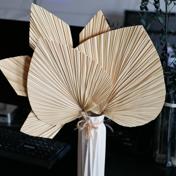 Wholesale Natural Dried Palm Leaves & Heart-Shaped Palm Decorations for Bouquets & Weddings