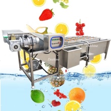 Industrial Conveyor Belt Ozone Fruit and Vegetable Washer