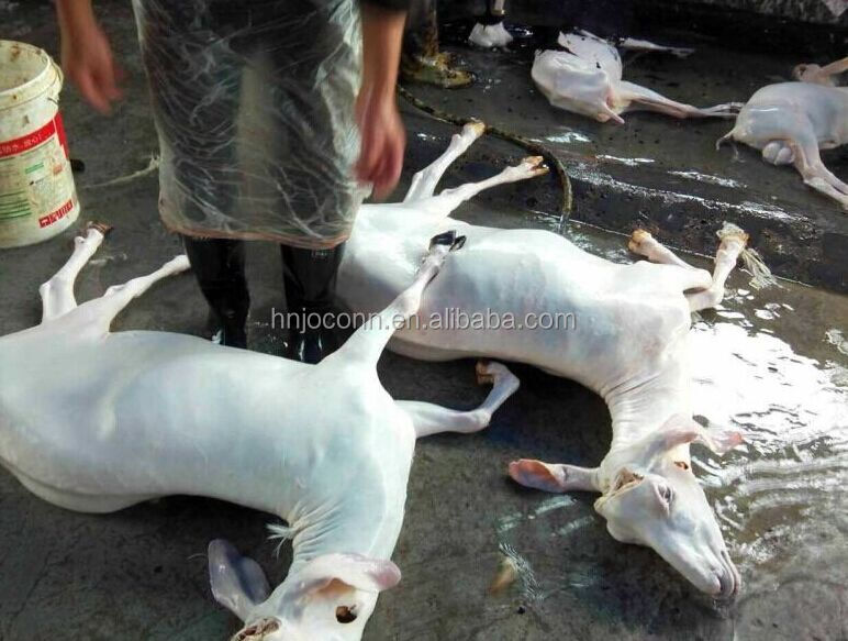 绵羊羊脚脱毛机/猪蹄脱毛机