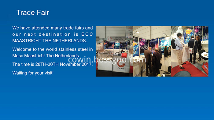 Stainless Steel Socket