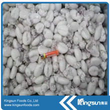IQF Frozen Baby Cuttlefish With Top Quality