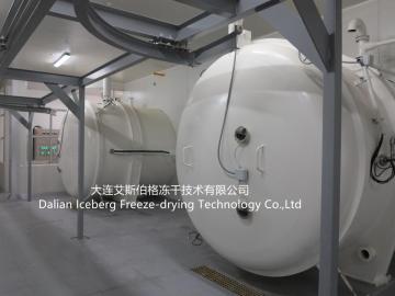 Parsley Freeze Drying Machine