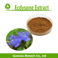 Extrato de Ecdisona 40% 50% 100% natural