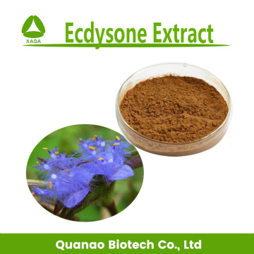 Ecdysone Extract 40% 50% 100% natural