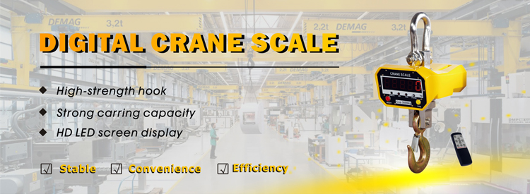 GSP910 crane scale