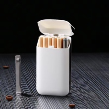 20-Pack Carry-on Small Classic Red Cigarette Lighter Case