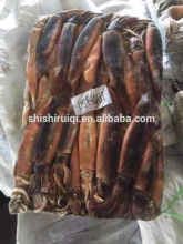 Argentina illex squid frozen whole round squid