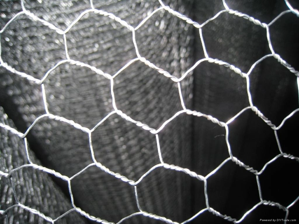 Galvanized Iron Wire Hexagonal Wire Netting