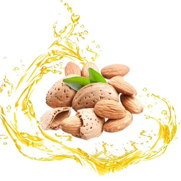 almond oil bulk apricot seed oil