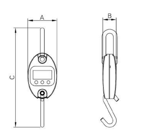 GSP914 crane scale