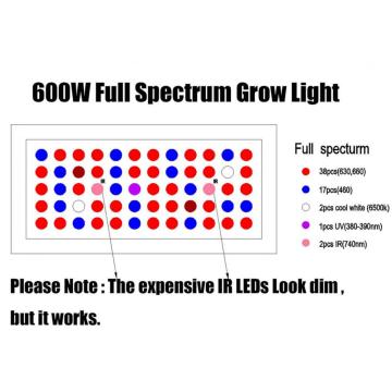 Luz LED de cultivo de 600W para plantas de interior