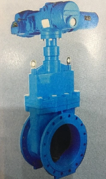 Electric Gate Valve DIN BS Double Flange Non-Rising Stem