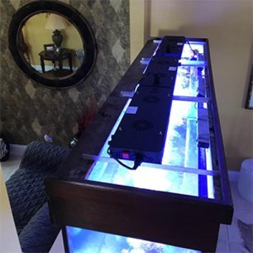 Newest Led Fish Tank Coral Reef Aquarium Light