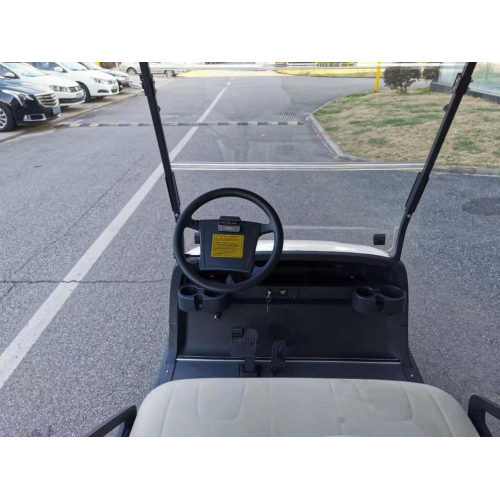 Coche de scooter de turismo de cuatro ruedas de 6 plazas