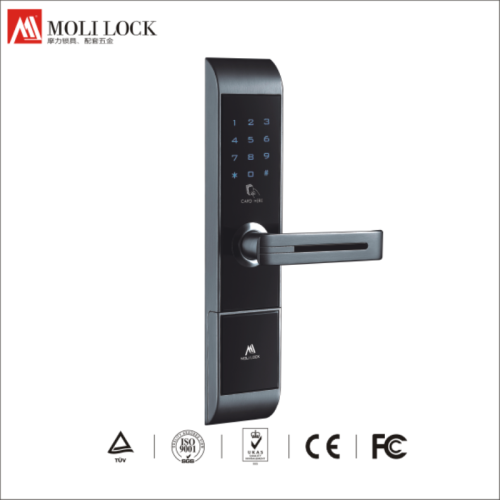 key door lock, remote control electric door lock, smart door lock