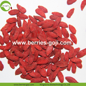 โรงงานขายส่งซูเปอร์อาหารปรับปรุงสายตา Ningxia Goji