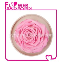 Best Gift Preserved Natural Rose
