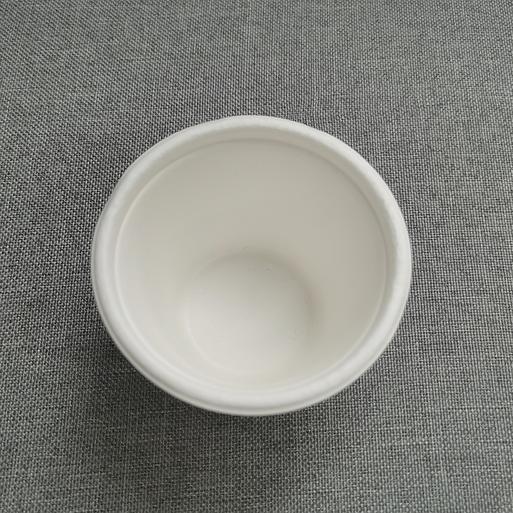 bagasse cup