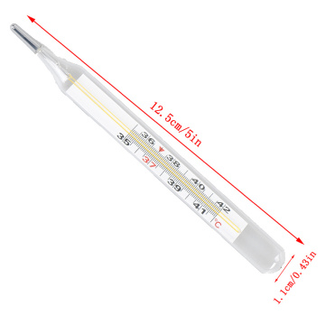 Mercury Thermometer Glass Clinical Mercurial