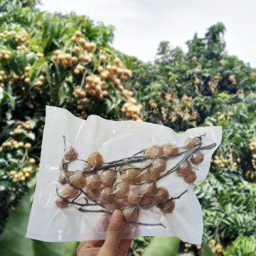 Bolso de vacío de alimentos con cremallera de vacío biodegradable