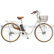 PAS Electric Bicycle