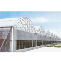 Multi Span Plastic Film Greenhouse Untuk Pertanian