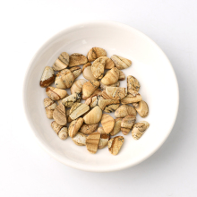 High Quality Natural Picture Jasper Fat Triangle Cut