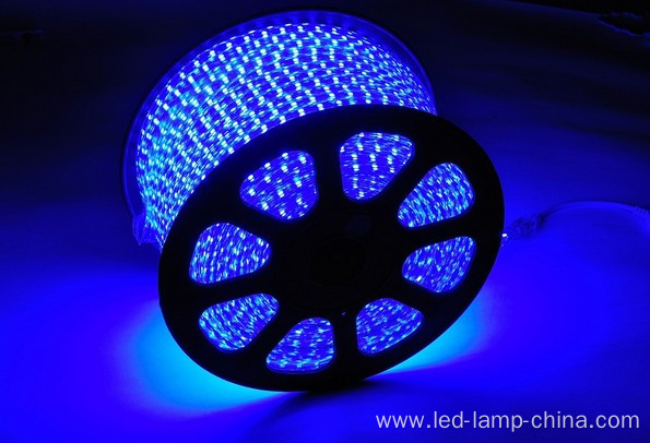 AC110V LED Tape Light LED Strips Factory Direct Sale