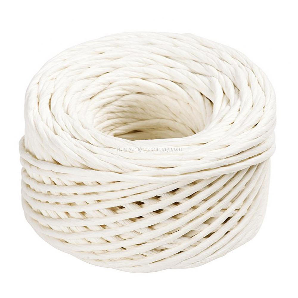 corde de papier torsadée de couleur blanche