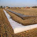 PVC beschichtete Pflasterungs-Verstärkung Glassfiber Geogrid-Masche