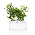 Mocle Indoor Flower Pot Crescer Sistema