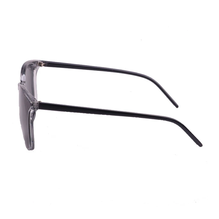 PC Frame with Smoke Lense FDA Sunglass