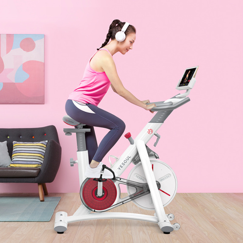 YESOUL S3 New Exercise Health Indoor spinning bike