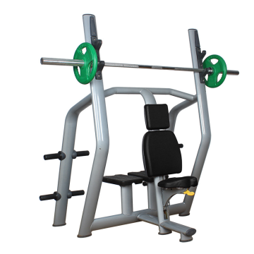 Professional Gym Strength Training Vertical Bench
