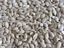 shine skin pumpkin seeds organic pumpkin seeds